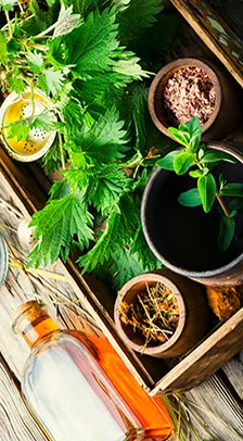 daoxin_orthomolekularmedizin